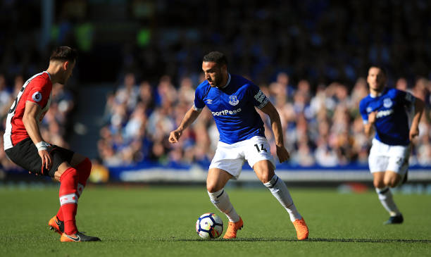 给大型巡回 给大型巡回