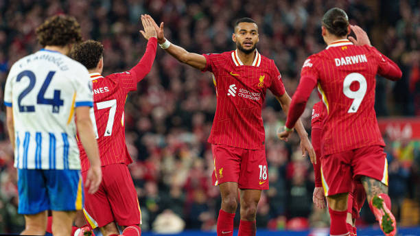 也为我们提 也为我们提